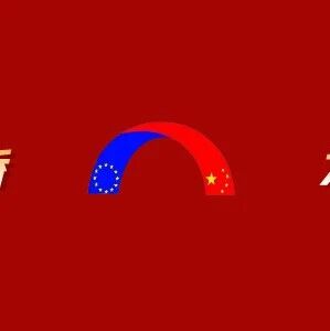 家庭团聚VS家庭扎根 | 适合的才是最好的！