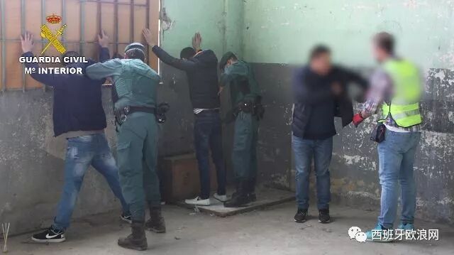 【欧浪网】5名华人在扫毒行动中被捕 瓦伦西亚1200千克大麻被缴