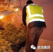 【欧浪网】华人团伙相继落网 瓦伦西亚也是毒品重灾区