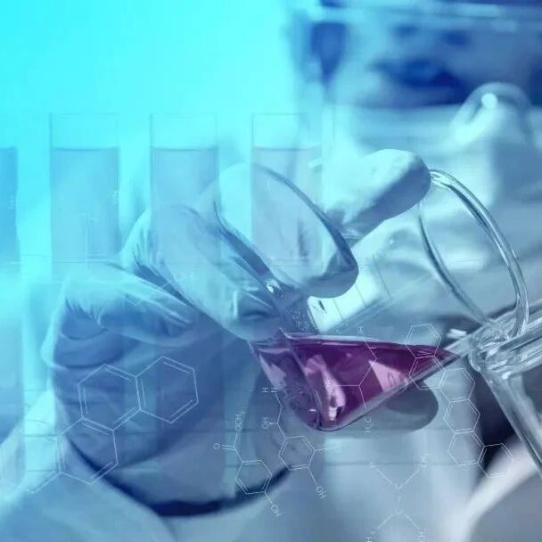 【欧浪网】华文菁英学校2020线上中、西、英三语暑期班开始招生啦！