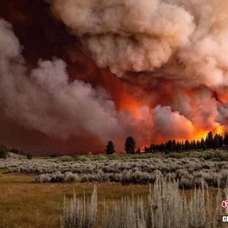 【欧浪网】全球多地遭遇极端天气：欧洲洪灾百余死 北美山火蔓延
