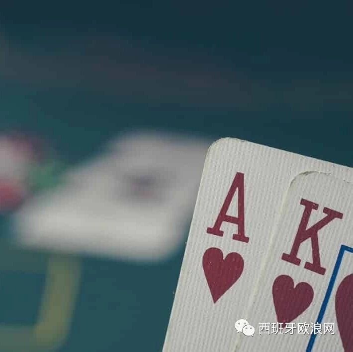 【欧浪网】华人兄弟带头作案罄竹难书 恐入狱十六年