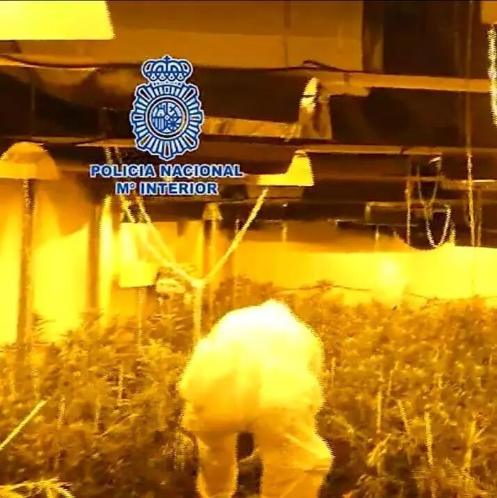 【欧浪网】警方加大“扫毒”力度 五名华人在北部落网