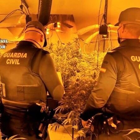 【欧浪网】警方在Illescas摧毁大麻贩毒组织  三名华人被捕
