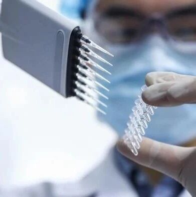 【欧浪网】阿联酋正式批准使用中国新冠疫苗