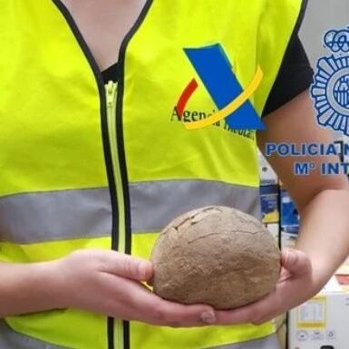 【欧浪网】警方在瓦伦西亚查获进口的恐龙蛋  每枚值15万欧元