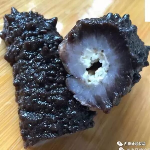 【欧浪网】给我一个支点，我可以撬动地球，给我一支小薛海参，我可以滋补全身