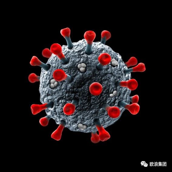 【欧浪网】病毒在塑料上可存活72小时！新冠要跟人类干上了.....