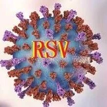 【欧浪网】30%的美国人表示拒绝接种新冠疫苗 又一种新型病毒在美国蔓延