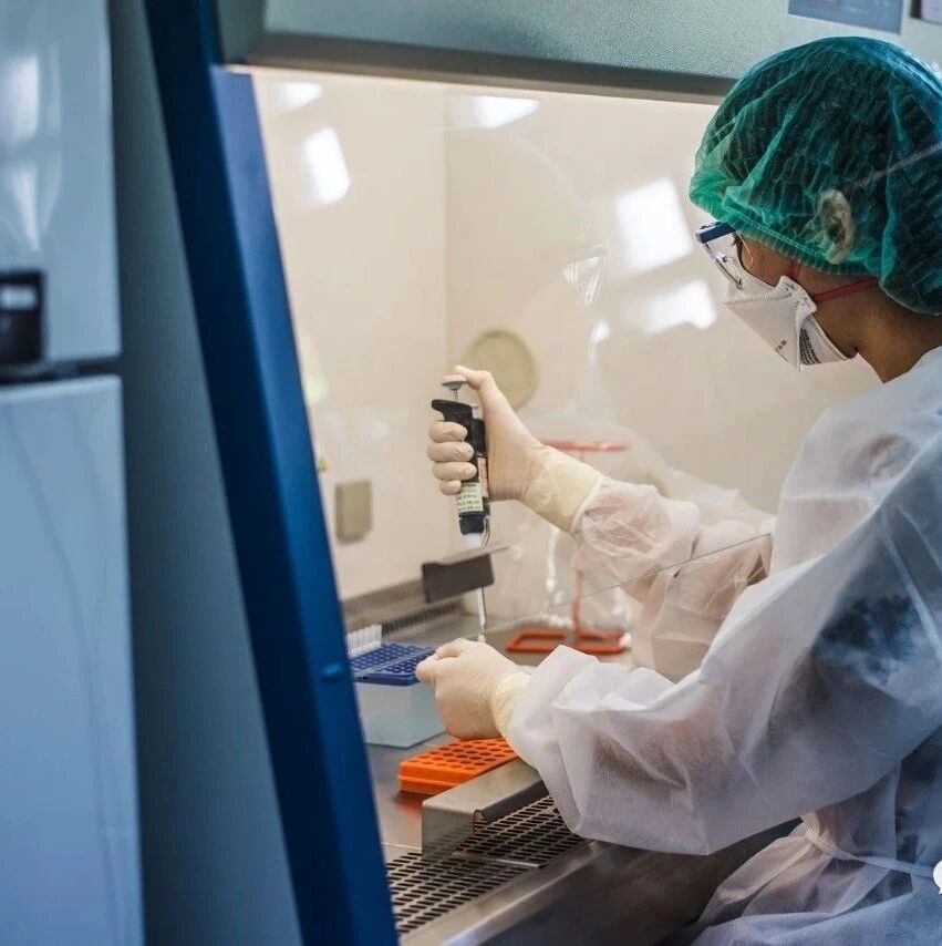 【欧浪网】世卫组织专家:全球70%人口接种疫苗才能保证疫情结束