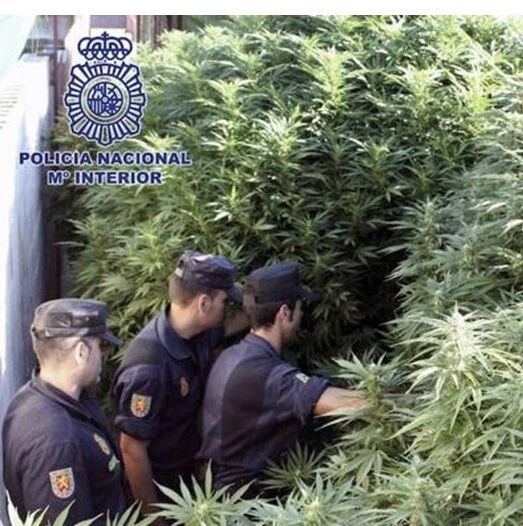 【欧浪网】华人被骗来西做种植工 大多数处境艰难