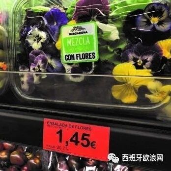 【欧浪网】“仙女风”飘向西国   “鲜花沙拉”成网红食物