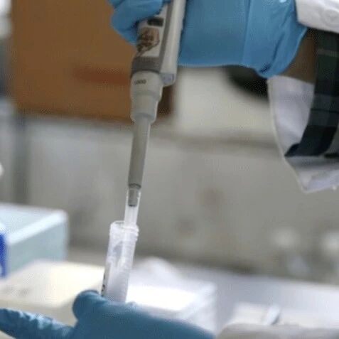 【欧浪】新冠变异病毒缪毒株已在美国首都及47州传播