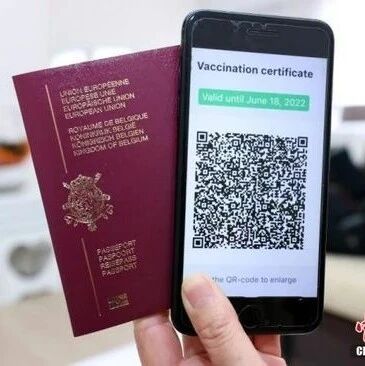 【欧浪网】一河南籍侨胞重病在床无依无靠 一众侨界爱心人士鼎力帮助安全回国