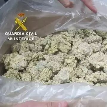 【欧浪网】继海马和海参后，海葵成为中国走私分子的新兴赚钱法宝