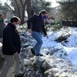 【欧浪网】马德里公交车至下周三免费 市长呼吁不使用私人车辆出行