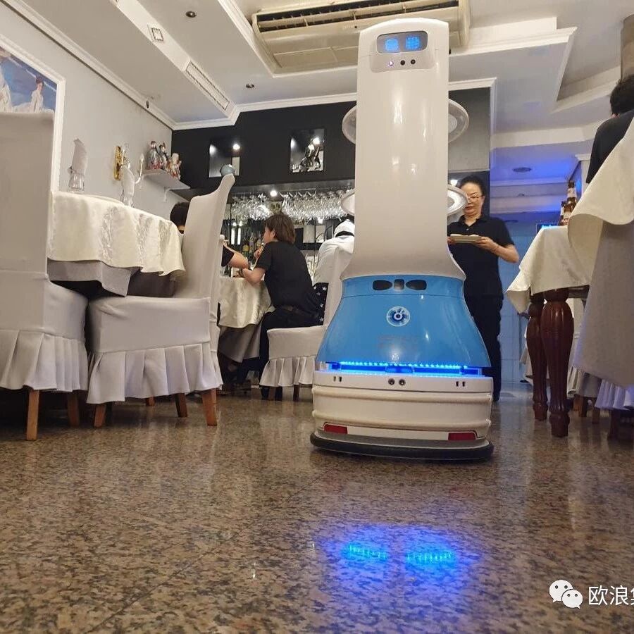 【欧浪网】 马德里中餐厅出现机器人服务 12%的岗位可以被取代