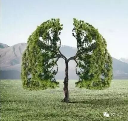 【健康】立秋后最该爱惜这个器官！养好它，一整个秋天不生病