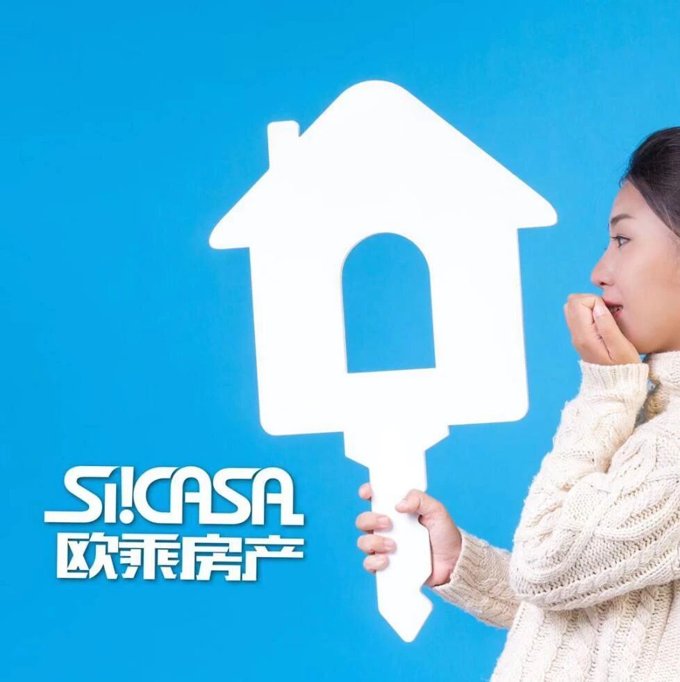 对于购买政府房，你有什么顾虑吗?