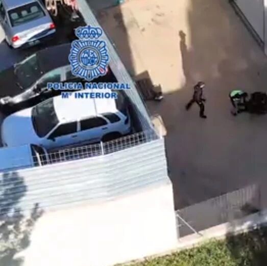 【欧浪网】警方大行动华人四处窜逃 十人被捕六人被救