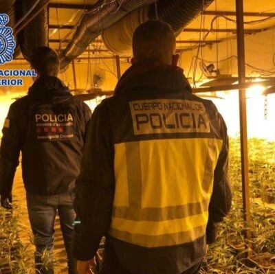 【欧浪网】西班牙警方完成对华人贩毒集团的打击行动   一共逮捕65人