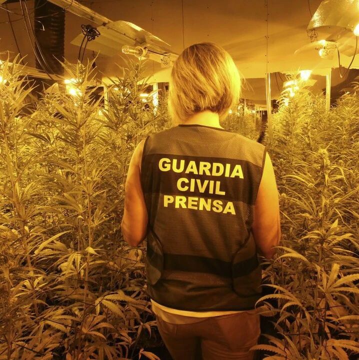 【欧浪网】因为一仓库散发奇怪气味 六名中国人被警方带走...