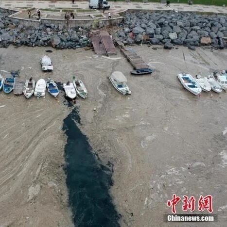 【欧浪网】“海鼻涕”肆虐土耳其海岸 海洋生物无法呼吸