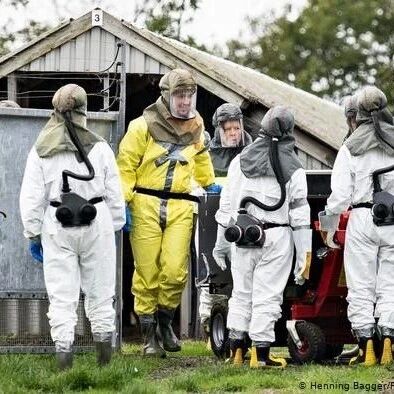 【欧浪网】新冠病毒出现新变种，或致疫苗失效？世卫组织回应来了