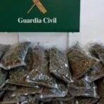 【欧浪】胆大包天  蒙面劫匪成功抢劫戒备森严的马德里宪兵局毒品仓库