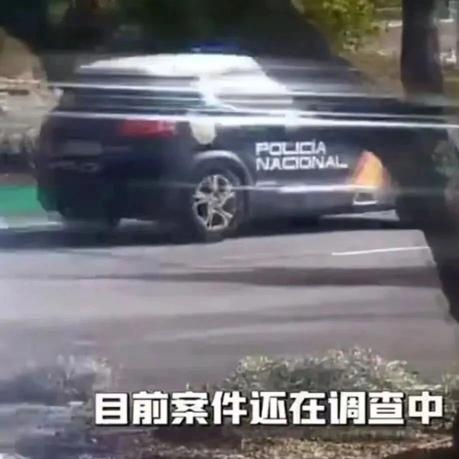 【欧浪】西班牙瓦伦西亚大区发生枪械争斗事件 致2人死亡