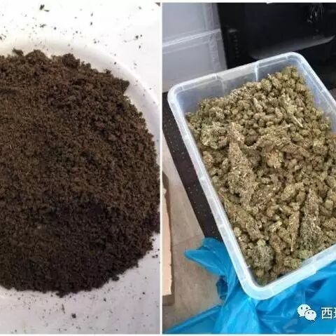 【欧浪网】西班牙首次发现大麻油毒品作坊  逮捕五人