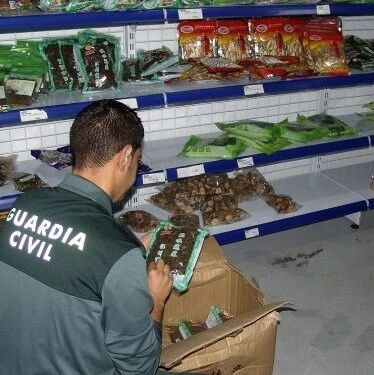 【欧浪网】西班牙警方在华人超市收缴2000多件问题食品