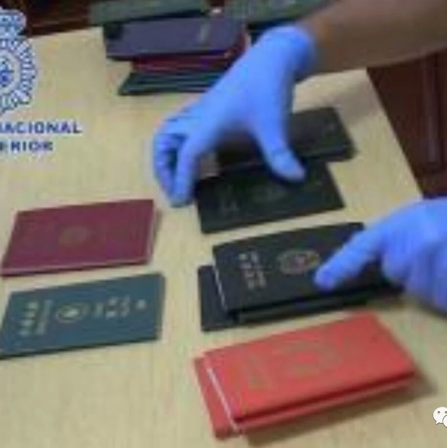 【欧浪网】40名受害人欠债120万  华人犯罪团伙造假证帮同胞移民