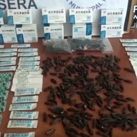 【欧浪网】西班牙警方在Usera华人餐厅收缴海参和连花清瘟