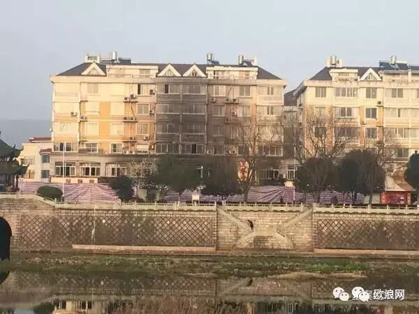 【欧浪网】浙江足浴店18死18伤 生还者回忆破窗逃生经过