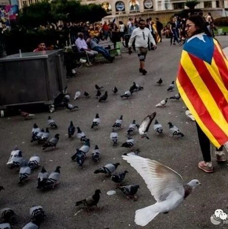 【欧浪网】西班牙法官称一万俄军协助加泰闹独立，俄方反讽