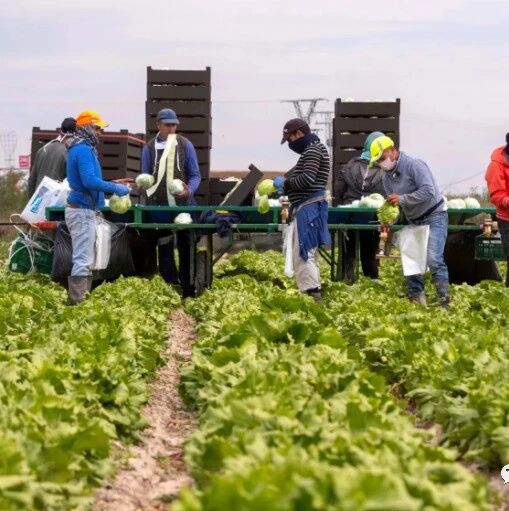 【欧浪网】西班牙新增427例  巴斯克医院和南部农业区出现新疫情