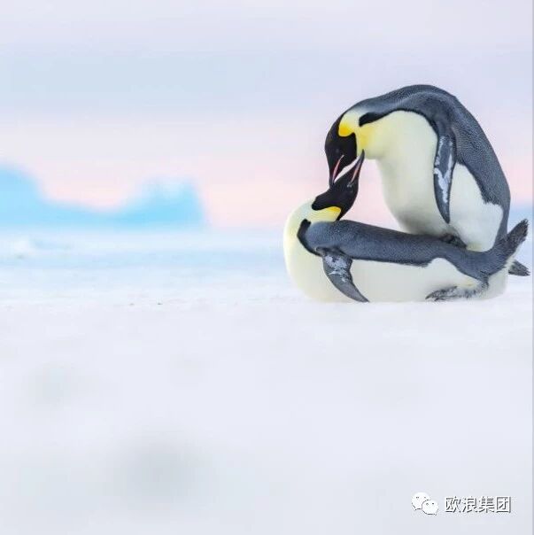 【欧浪网】摄影界奥斯卡来了 你还没去看过？