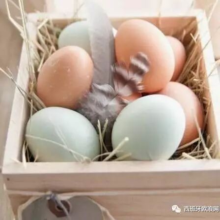 【欧浪实用】鸡蛋、鸭蛋、鹅蛋、鹌鹑蛋……差别这么大，不知道亏大了