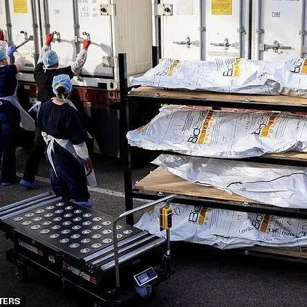 【欧浪网】美国殡仪馆尸体堆到天花板 感染者暴毙家中 医生飙泪
