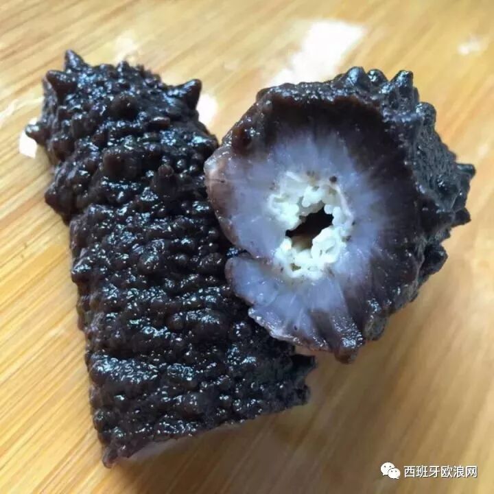 给我一个支点，我可以撬动地球，给我一支小薛海参，我可以滋补全身