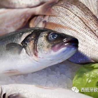 【欧浪网】吃了这么多“假鱼”你都不知道 因为餐厅不告诉你！