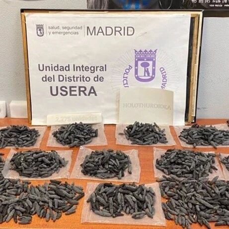 【欧浪】马德里Usera中餐馆被警方没收两千多只海参