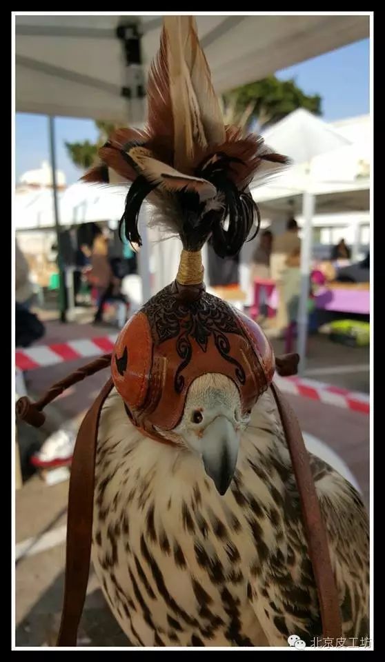小物件大手艺-西班牙的鹰帽arfalconryhoods