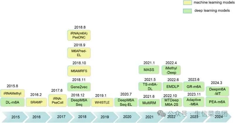 m6A 预测现有工具的时间表