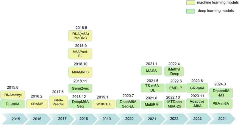 m6A 预测现有工具的时间表