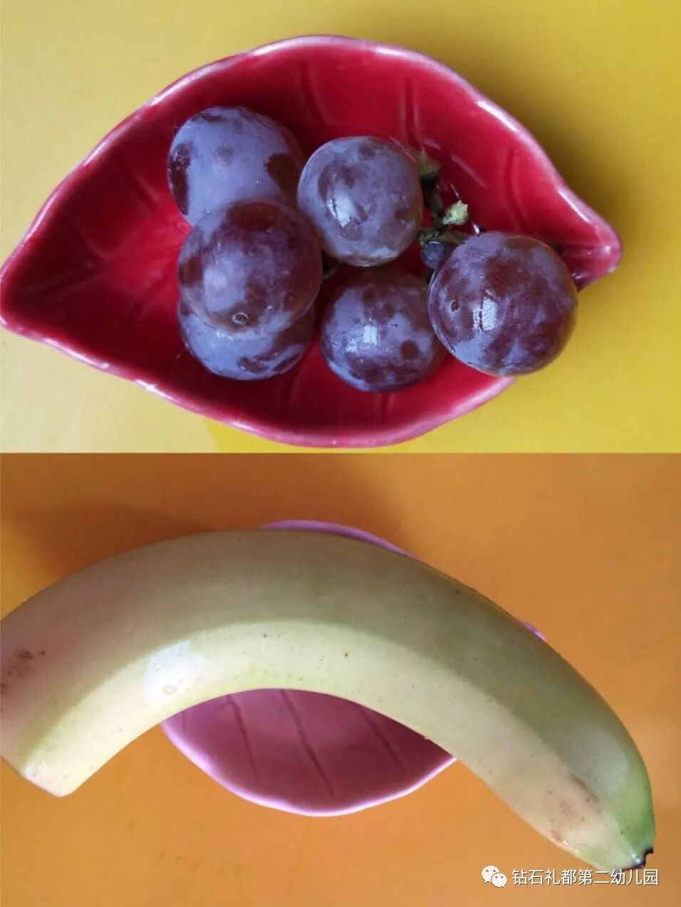 上午水果:葡萄 香蕉