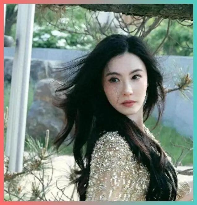 刘嘉玲与张柏芝事件讨论引发网络热议