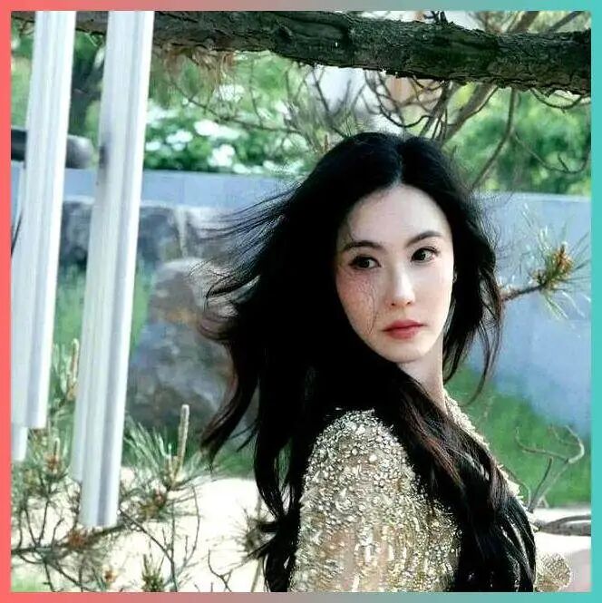 女性联盟与社会结构下的独立女性困境