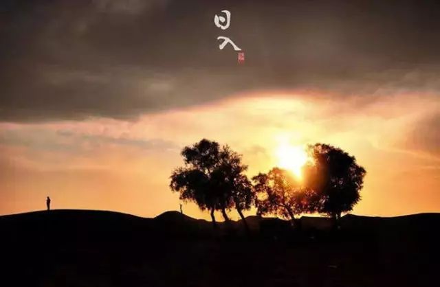 20171115210531_s981fvcvkw.png?v=1762063301265